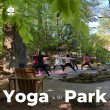 Yoga Park